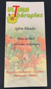 Sylvie Mieulet Cavalaire-sur-Mer, Fleurs de bach, Techniques énergétiques