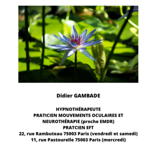 Didier Gambade Paris 3, Hypnose, Magnétisme