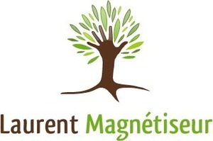 Laurent Dhayer Orléans, Magnétisme, Techniques énergétiques