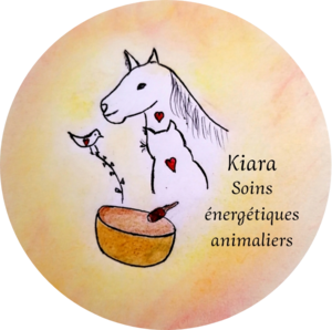 Kiara Routes, Magnétisme