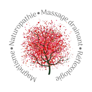 Carine FRANCOIS Lunéville, Magnétisme, Massage bien-être, Naturopathie, Techniques énergétiques