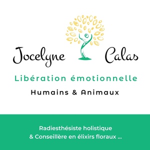 Jocelyne Calas Josselin, Praticien de médecine alternative