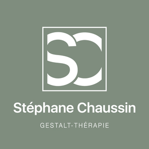 Stéphane Chaussin Angoulême, Psychothérapie